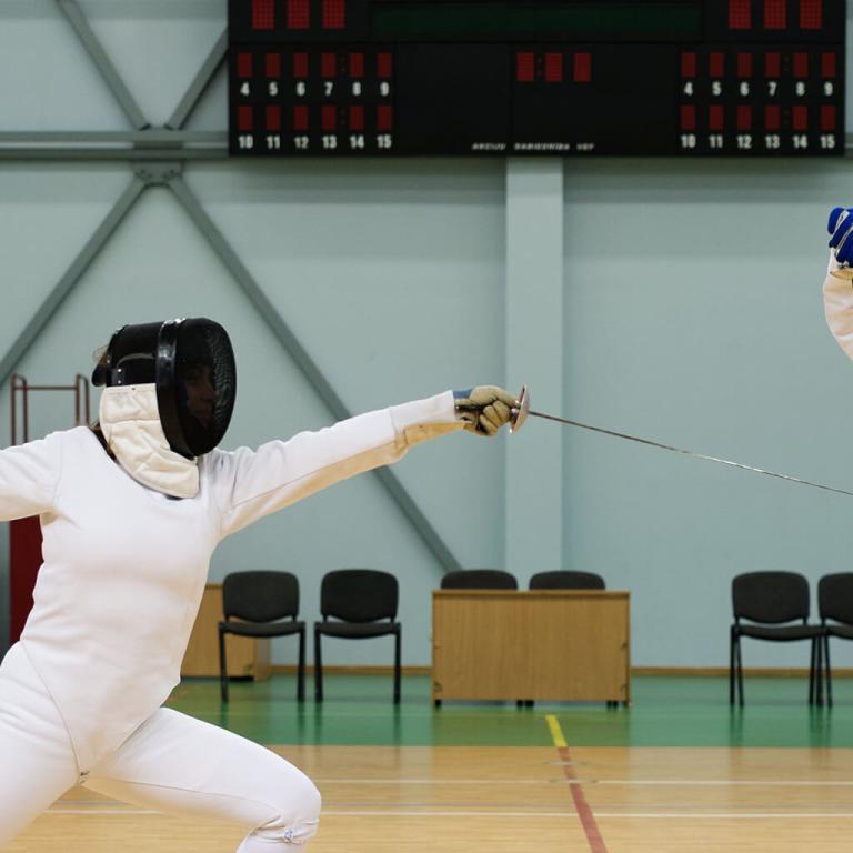 esl course plus fencing hero